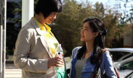 阳雪是什么电视剧,冬日暖阳下的爱情传奇