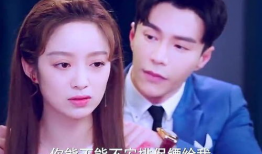 霸道总裁宠妻电视剧,霸道总裁的甜蜜宠妻日常